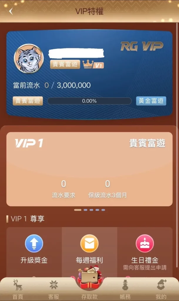 RG 富遊 VIP畫面